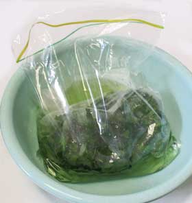 ストックバッグにタデアイの葉の入ったアミの袋と水が入れられている