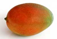 マンゴーの果実イメージ図