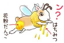 うさぎの「プウちゃん蜜蜂」イラスト。太ももには花粉だんご、手には滴るはちみつをつけて飛ぶ「プウちゃん蜜蜂」。