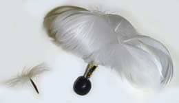 白鳥の羽を使って作った羽根とテイカカズラの種