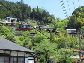 上直竹上分自治会館の山側斜面に点在する黒指の民家