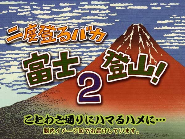 ことわざ通りハマるハメとなり、富士山に二度登るバカが脳内イメージとして繰り広げられている。