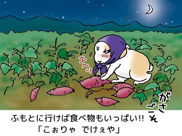 月明かりの中、紫色のほっかむり姿の「ぷう太郎」が「ふもとに行けば食べ物もいっぱい!!」と畑でサツマイモを吟味している。