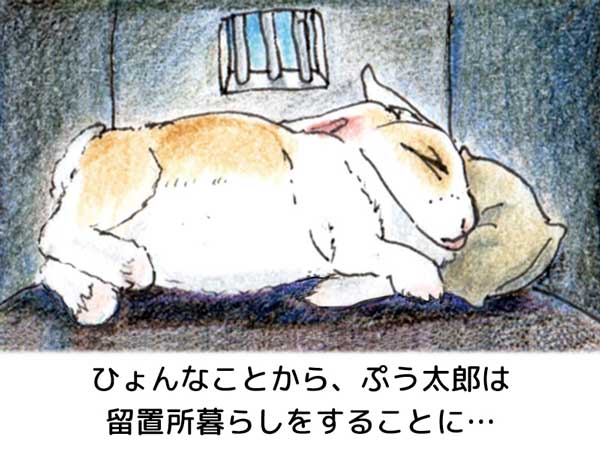 ひょんなことから、留置所暮らしをする事になったうさぎの「ぷう太郎」が暗くて狭い留置所の中で枕をして横向きで寝ている。