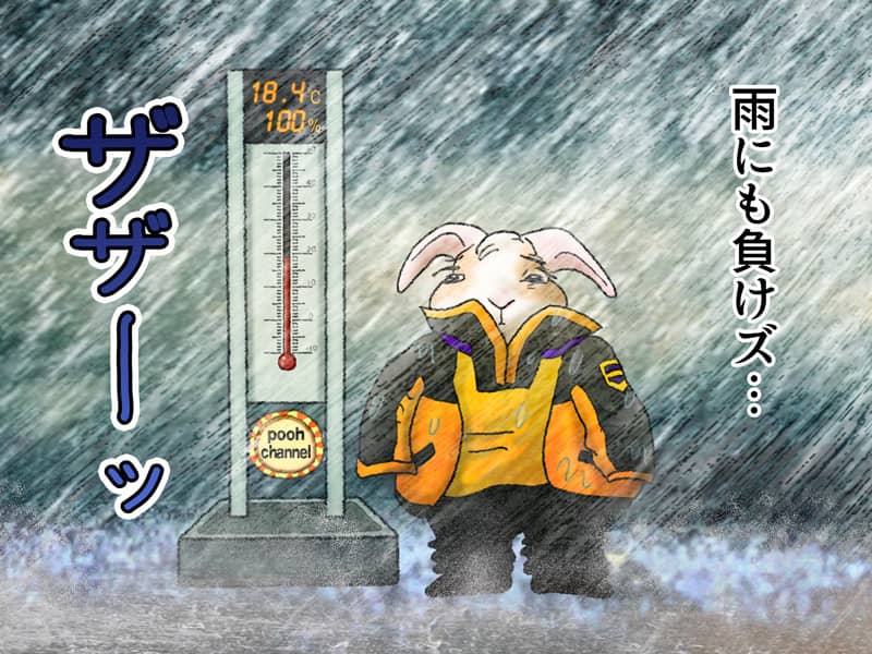 雨にも負けズ…　ものすごいどしゃぶりの雨にうたれながら温度計の隣で待機するうさぎのぷう太郎。