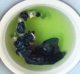 生葉染めの染液から取り出した濃い青緑色の絹布を洗面器に張った水の中に入れる