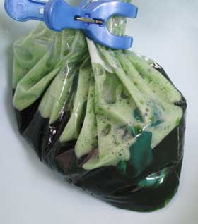 ストックバッグの染液内で色が青緑色になってきている絹布