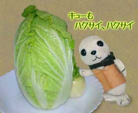 「キューもハクサイ、ハクサイ」というキャッチフレーズの記念撮影。結球した小ぶりの白菜とキューちゃん