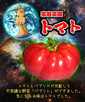 宇宙戦艦ヤマトのパロディーを用いた家庭菜園トマトのタイトル画像。宇宙空間に浮かぶ地球に映し出される馬の顔をした女性ウマーシアと不思議なトマト「パプリト」