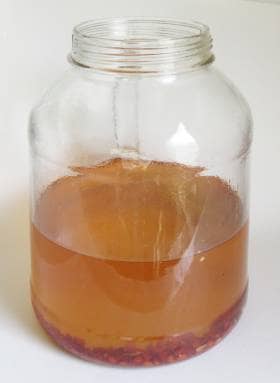 熟成6ヶ月目のカリンの酒から果実を取り除いたところ