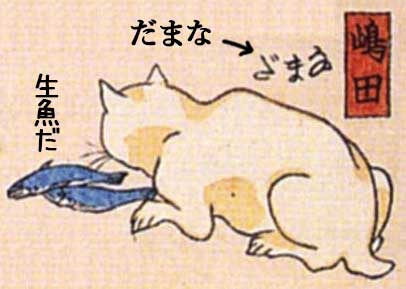 猫飼好 なまだ
