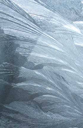 凍える朝　窓ガラスに描かれたエッチングのような氷の結晶