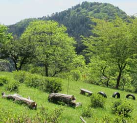 大仁田山登山道で一番眺望の開けた初夏の草原のベンチ