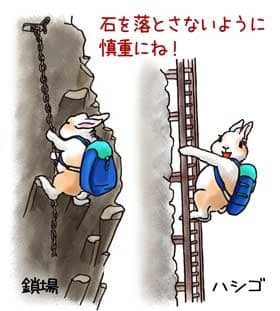 鎖場を登攀するうさぎの「ぷう太郎」