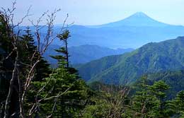 甲武信ヶ岳から臨む富士山