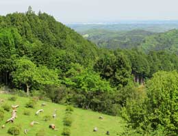 大仁田山登山道で一番眺望の開けた草原