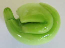 ムクロジの未熟果と成長過程の渦巻く緑色の胚