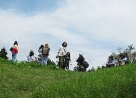 初夏の見晴らしの良い黒指の草原