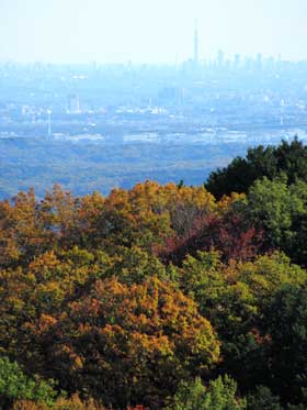 秋の大仁田山頂上から見た紅葉する山とスカイツリー