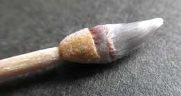ネコヤナギ花芽で作った筆