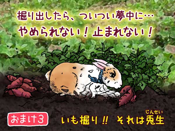 おまけ 「やめられない！とまれない！」畑で夢中になってサツマイモを掘る「ぷう太郎」。解説として「いも堀り!!それは兎生（じんせい）」