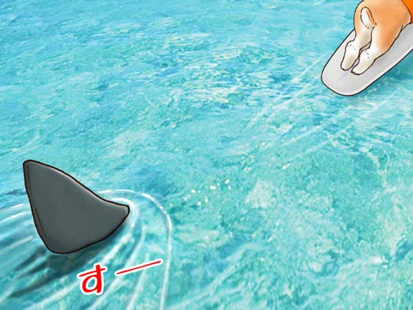 サーフボードの上でパドリングしているぷう太郎背後に忍び寄るサメの背びれ。